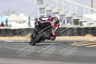 media/Feb-03-2024-SoCal Trackdays (Sat) [[767c60a41c]]/11-Turn 16 (2pm)/